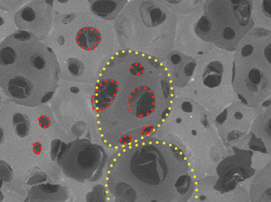 Micrografia da matriz porosa NovoSorb